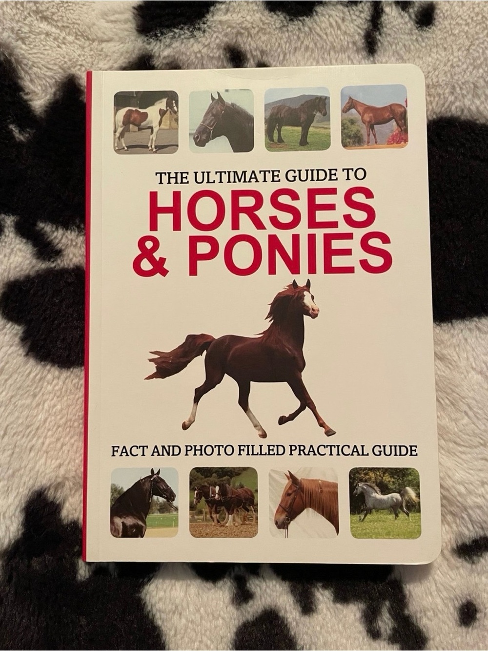 The Ultimate Guide to Horse and Ponies Paperback Book NWT